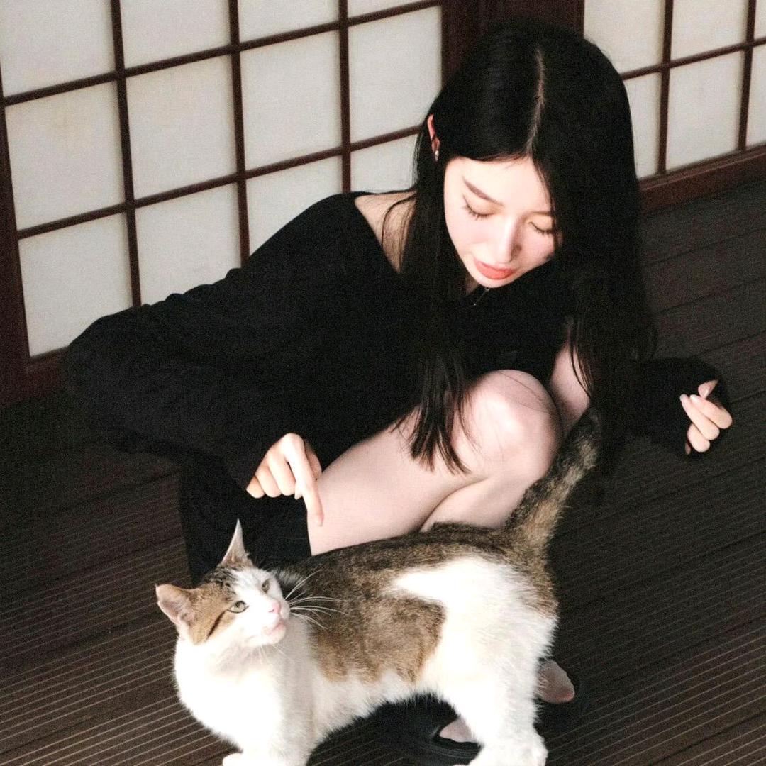 高冷菠萝猫