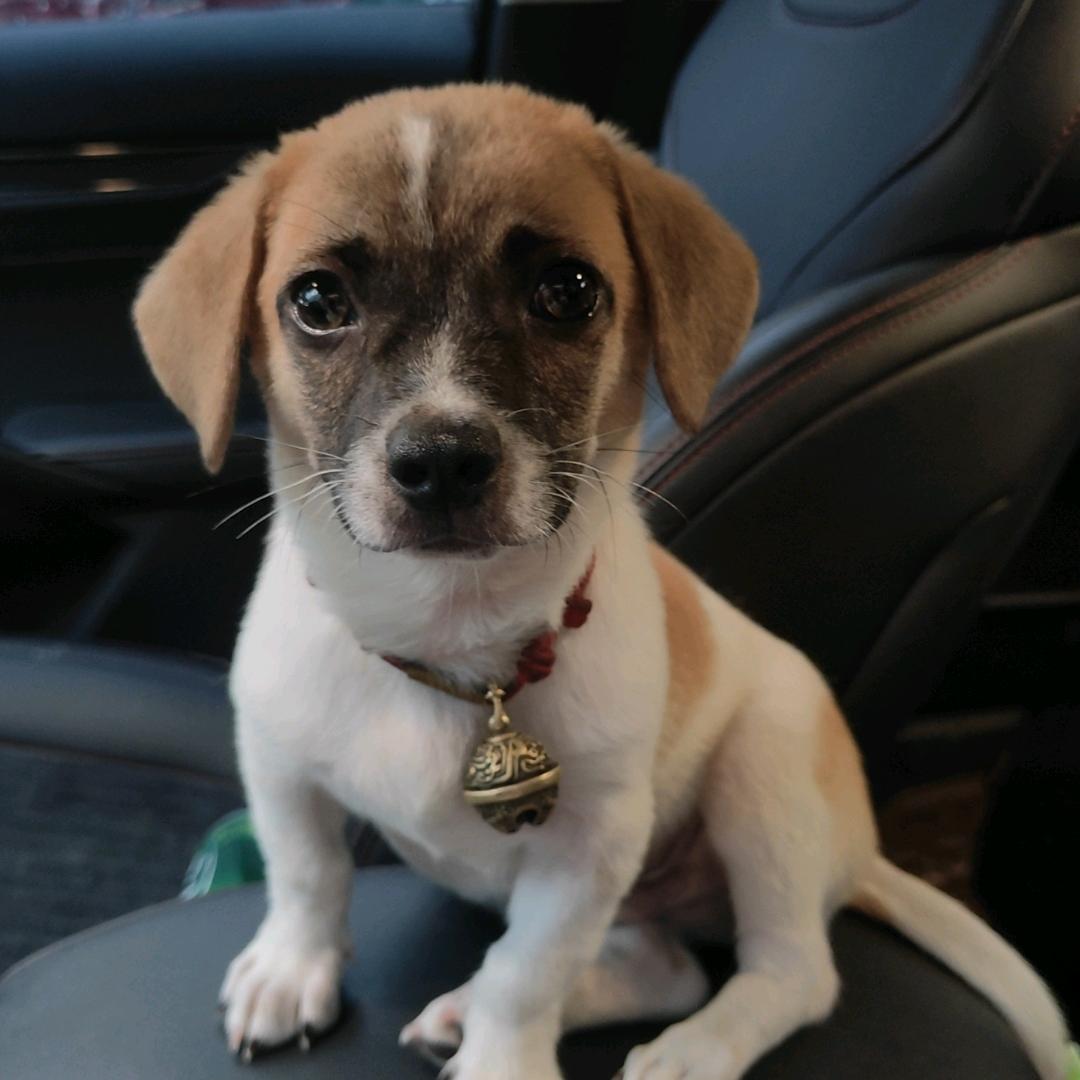 雅之轩食品百货集零售店