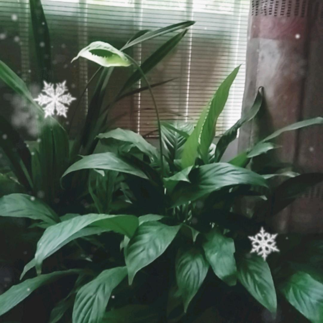 启航爱生活