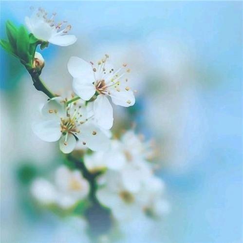 冉冉晴空