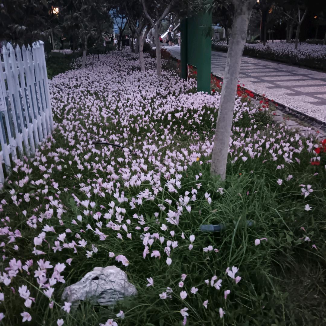 梦境头像
