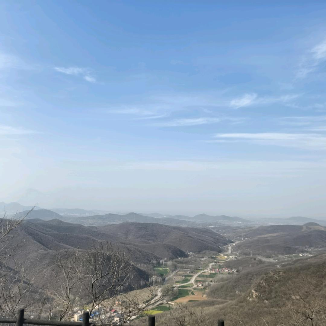 小鲸鱼