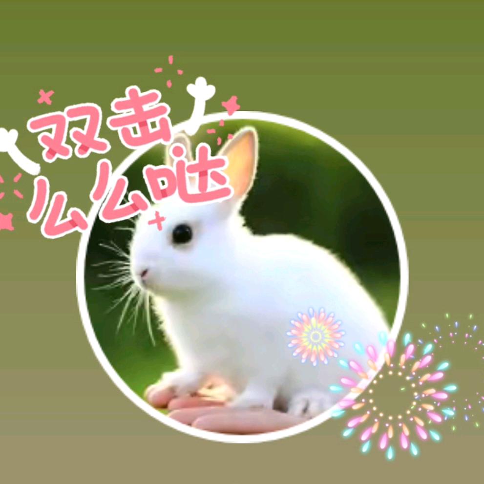 用户8740405749752强哥