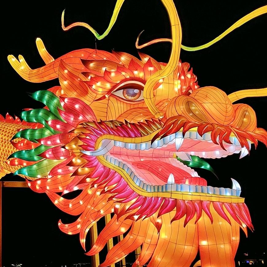 🌹🌹💞肖张💘世界💞🌹🌹