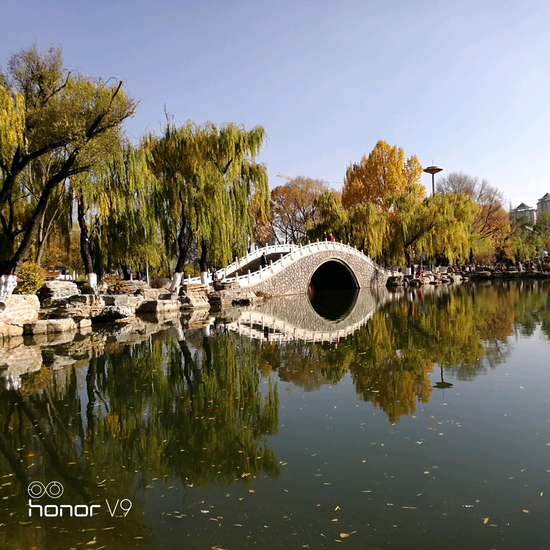 天然气校油泵增压器