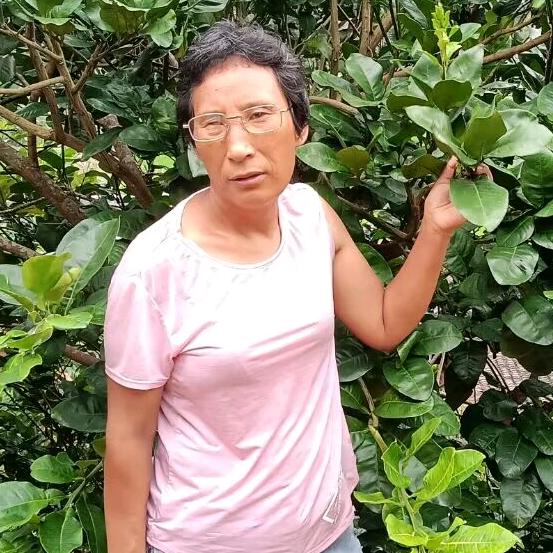 佳群(盖氏家族)小号18点27分直播