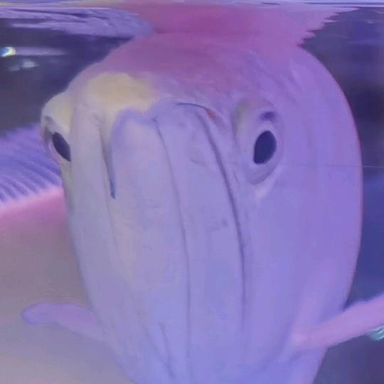 那一瞬间