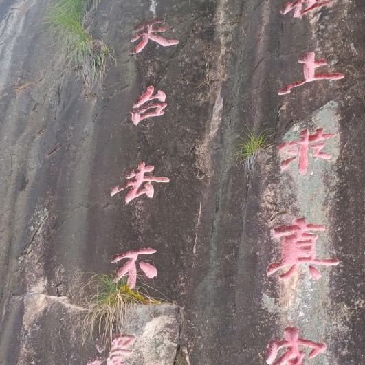 林森…