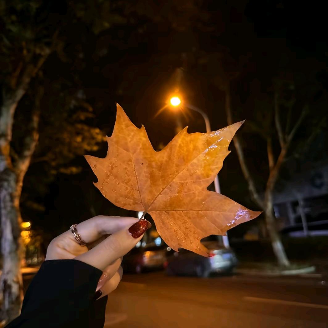 ༄F雪ོྂཾ࿆༊࿆兒࿆ྂ࿐