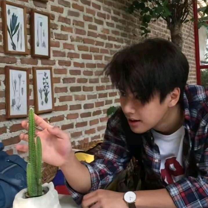 刘海碍眼