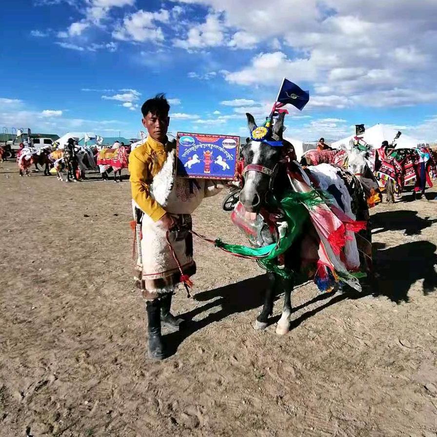 བོད་ཕྲུག་ཡ་འགྲོ