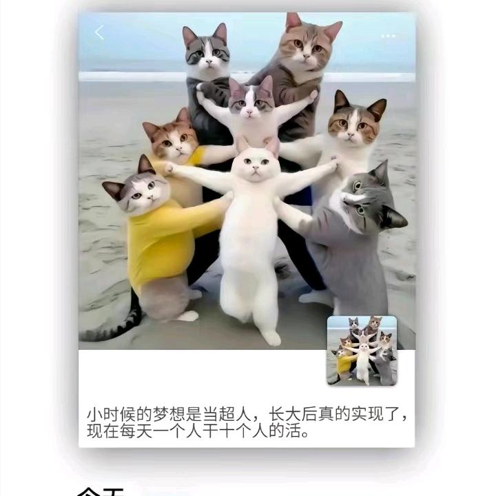灵璧王老师