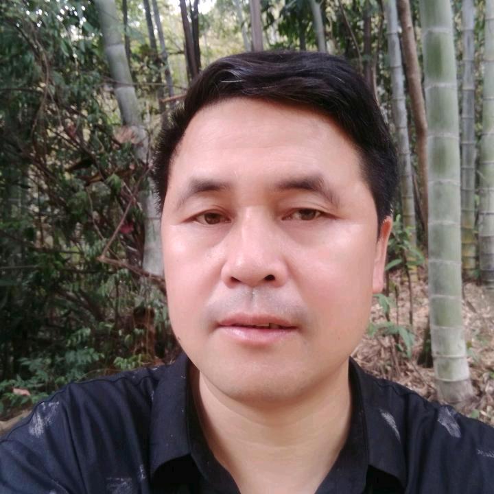 随便玩