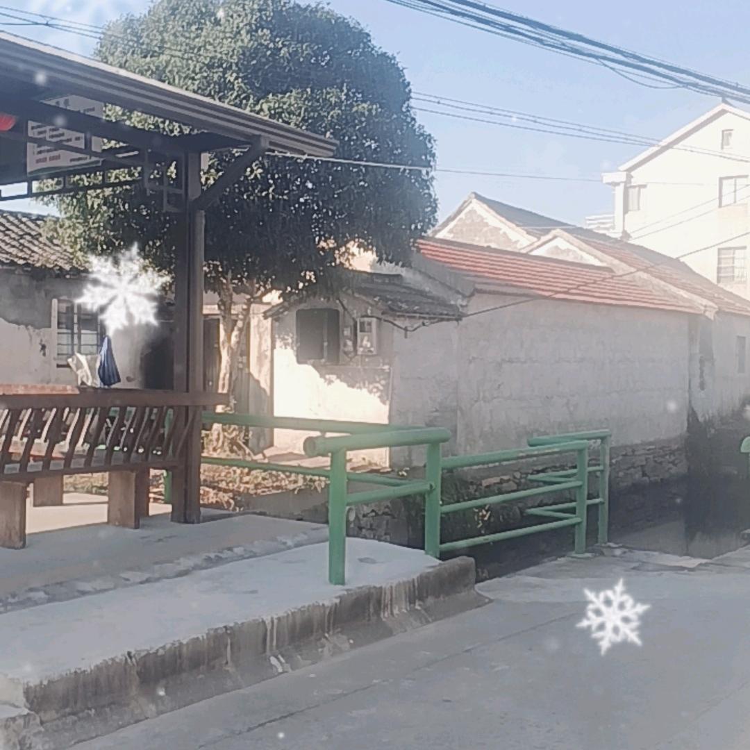 天天好运