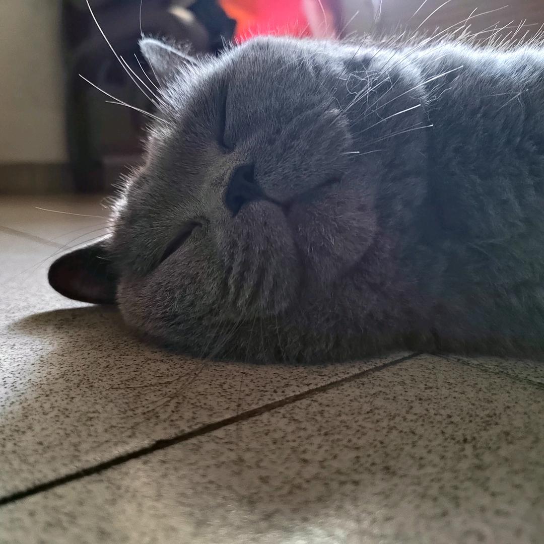 木行