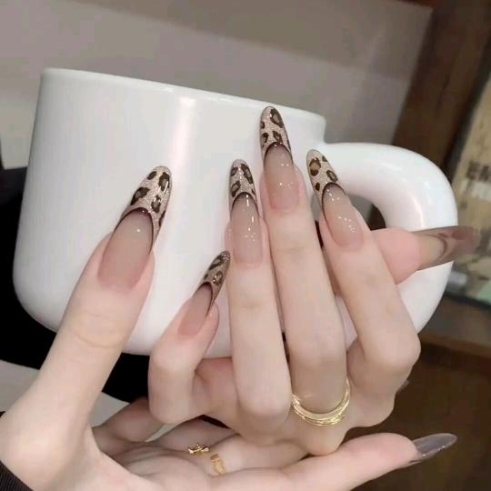 @琪爷@