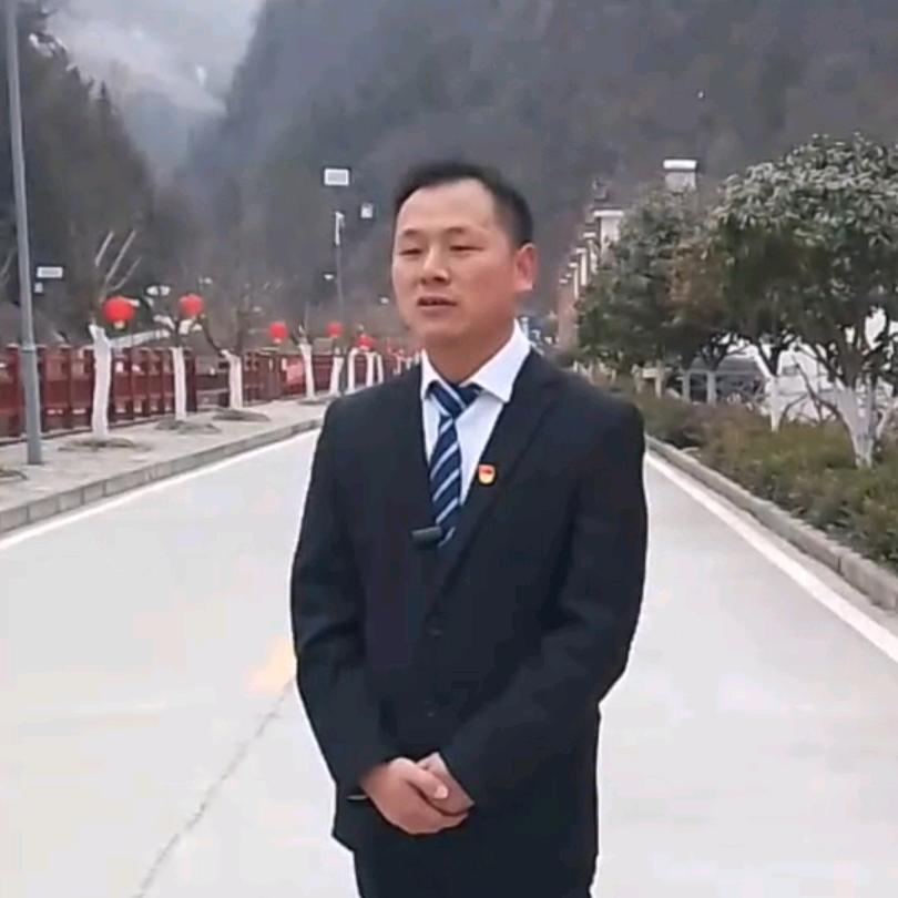 香龙村支书-何平