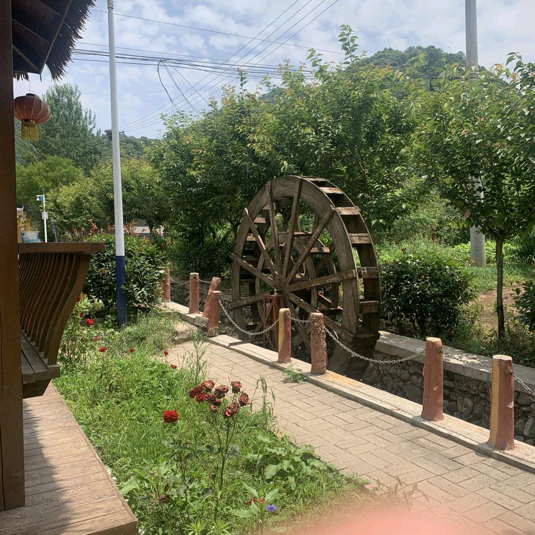 ﹪秦岭沐马‰
