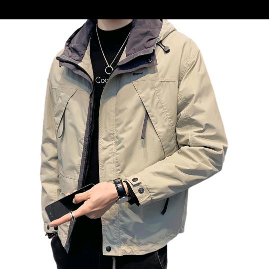金燕子好物