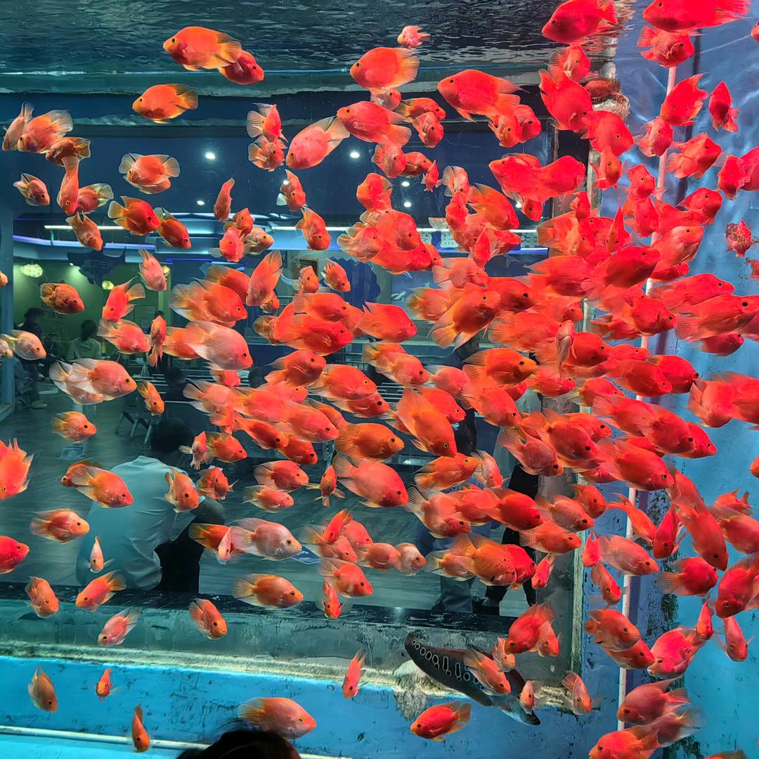 你在他乡还好嘛