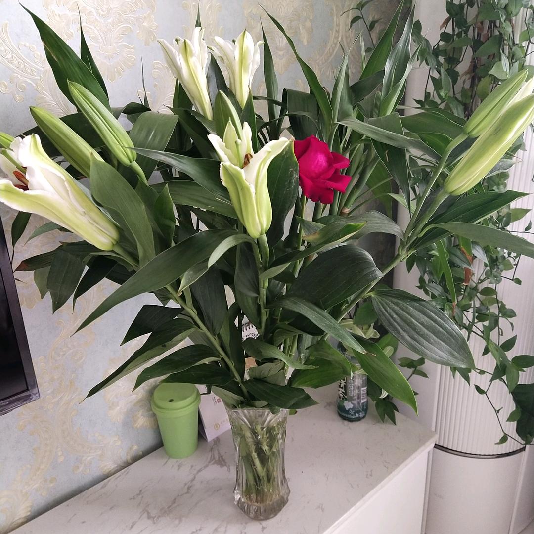 ⿻ᮁ໊香水百合꧔