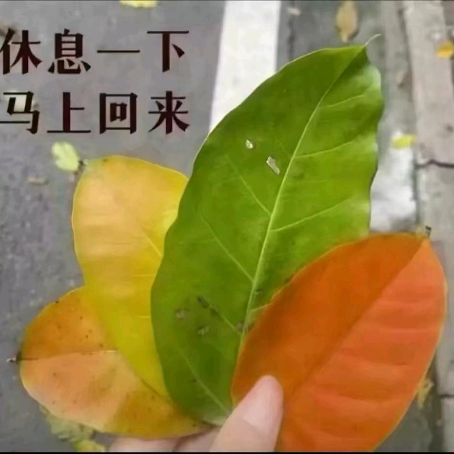 少儿频道（休息一下，马上回来）