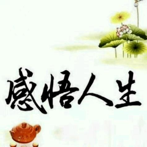 专业支模板，罗马柱沿线一条龙服务