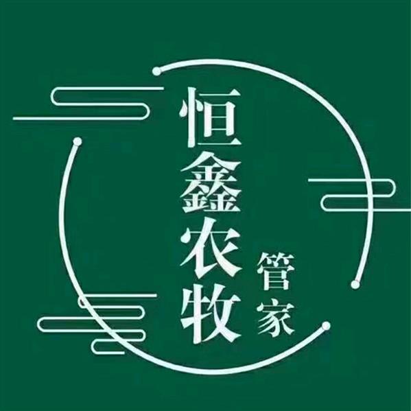 婷妮儿谈猪恒鑫德广生物科技有限公司