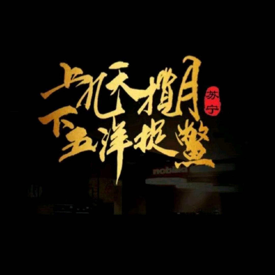 九天揽月
