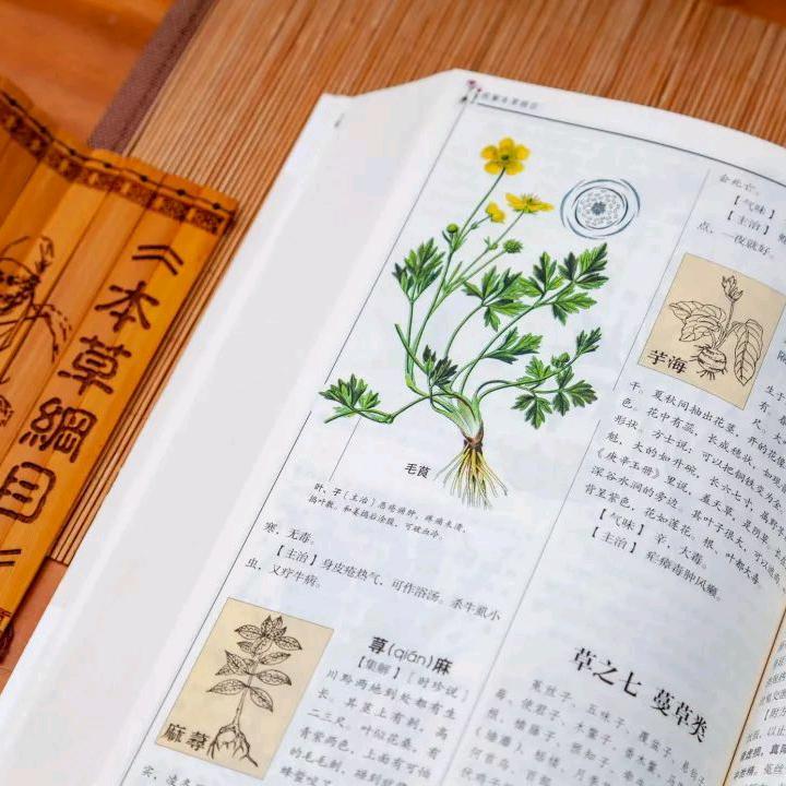 图图好物