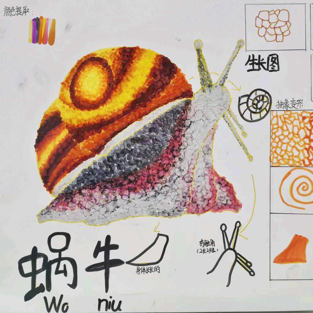 蜗牛