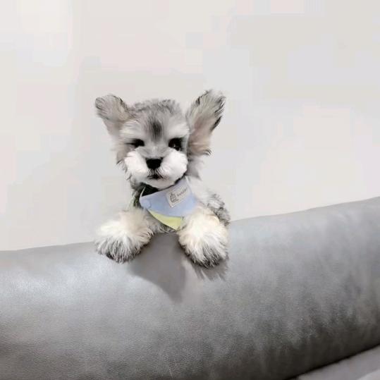 吃喝玩乐就是我