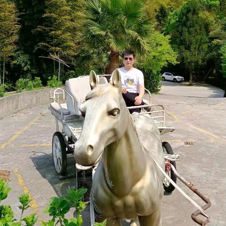 逍遥自在蓝孔雀