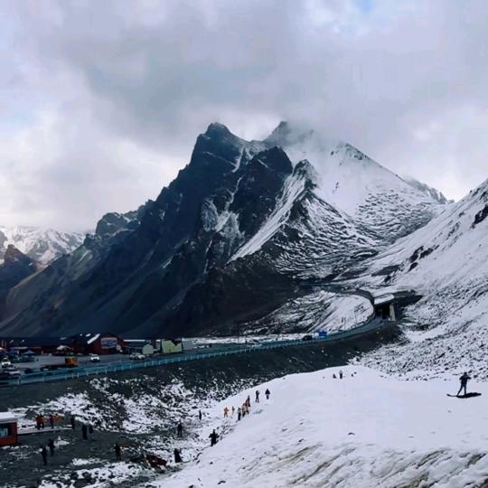山鹰