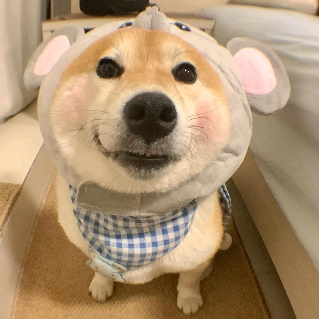 困困文