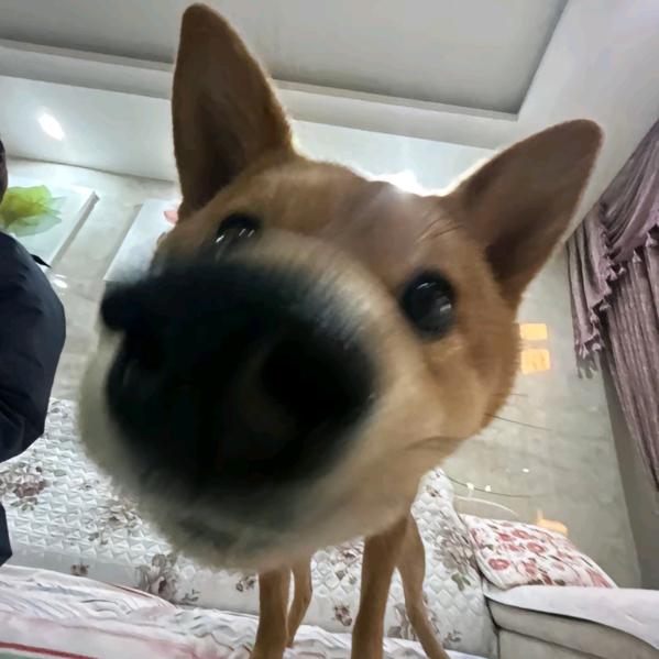 敬爱与明天
