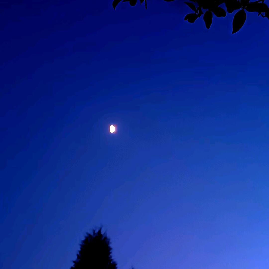 燕儿