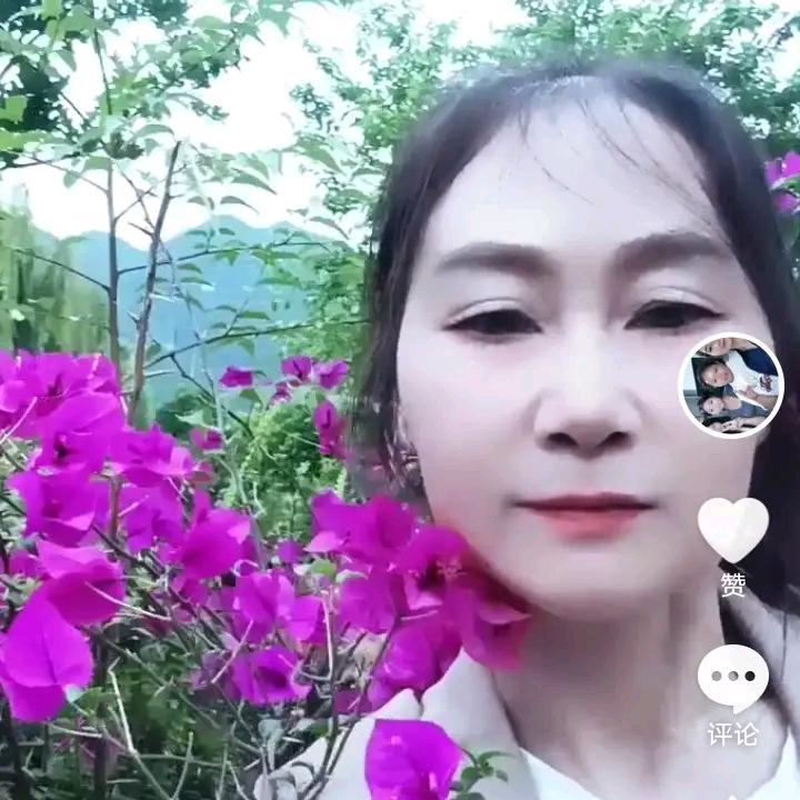 女儿红