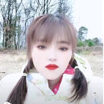 淡雅如风