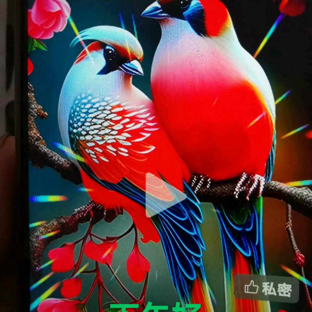 桃花源