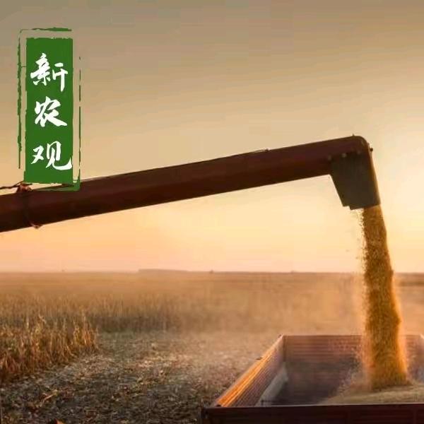 高士朗