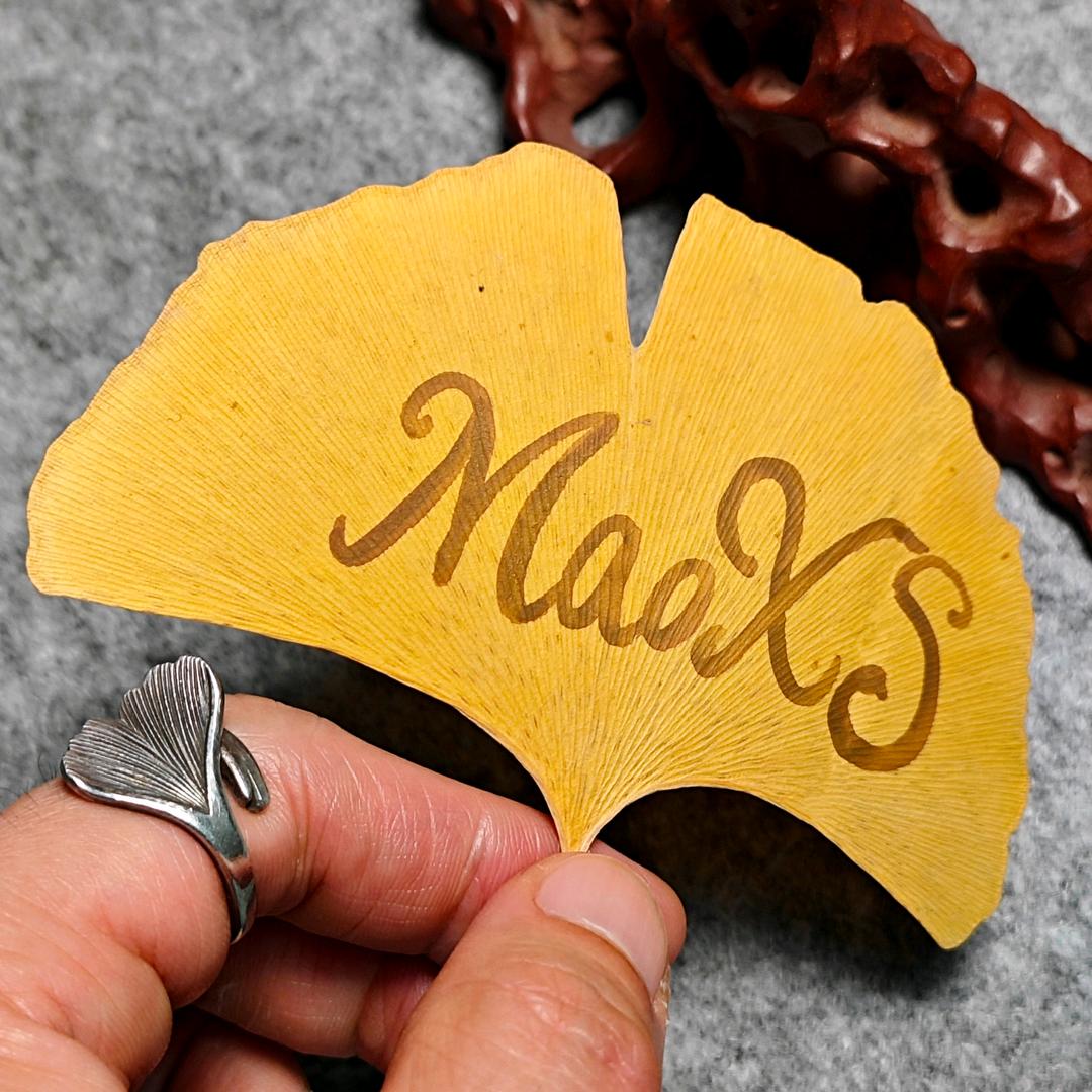 MaoXS