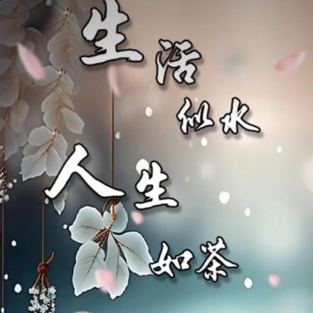 不念过去不畏将来