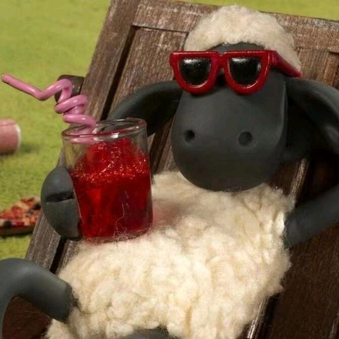 花🌸🌸🌸开富贵