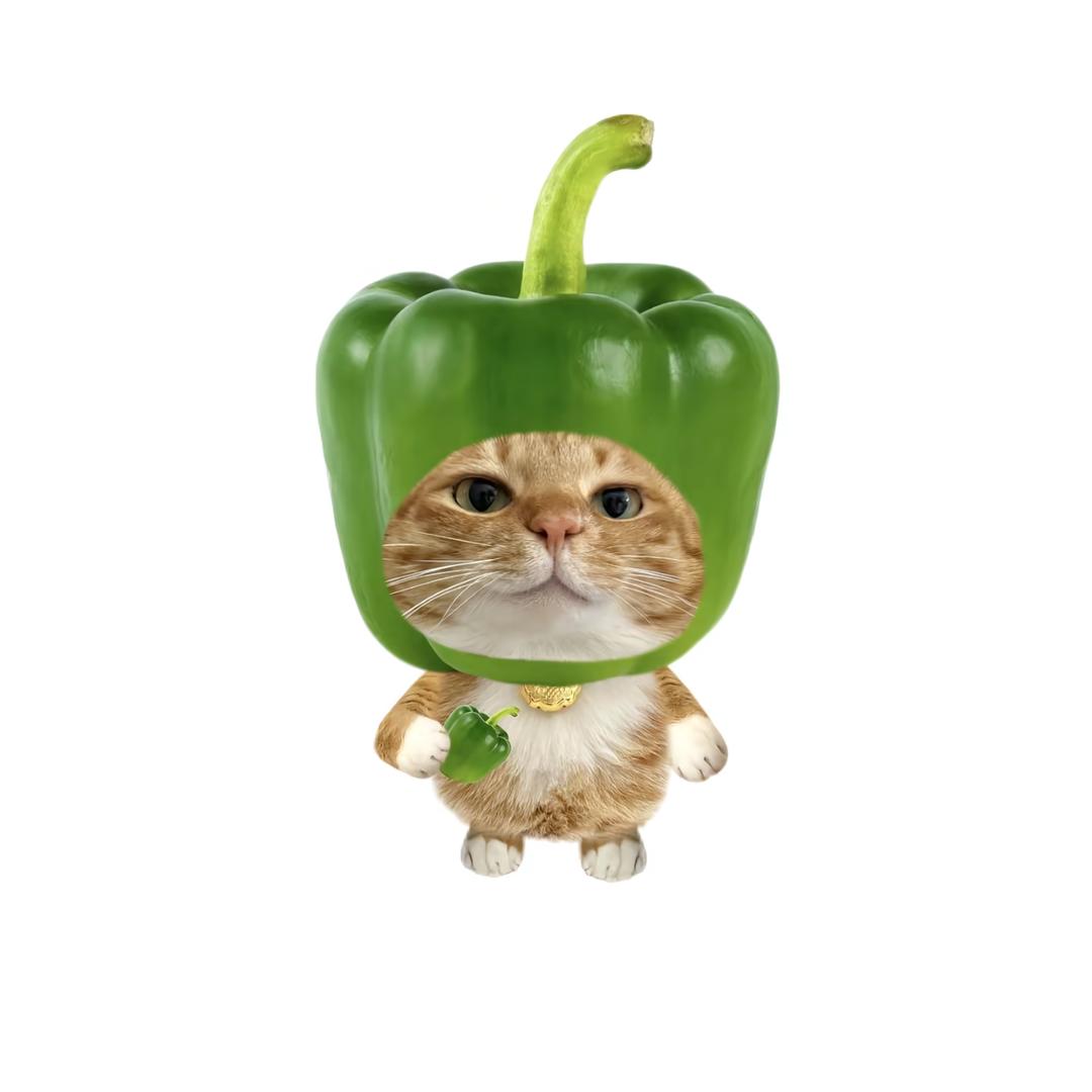 oTvTO
