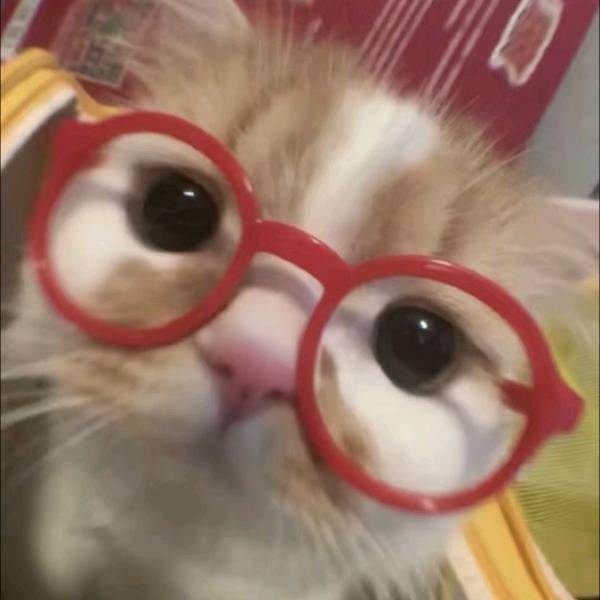 无敌霹雳娇娃手劈月球脚踩宇宙超级龙王战神