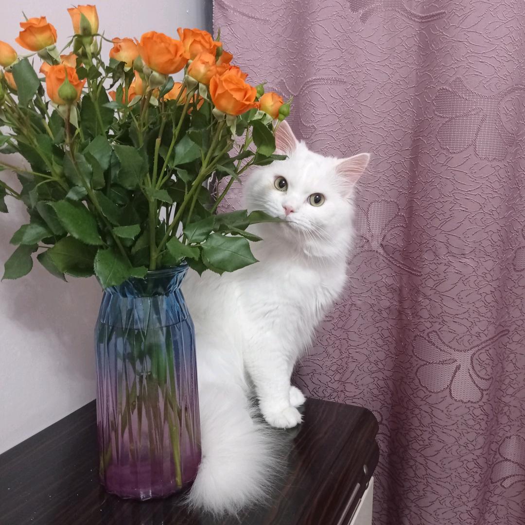 溪午不闻钟