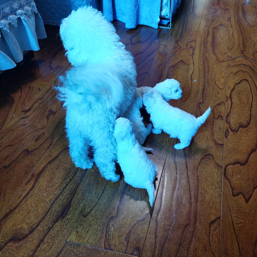 记录美好的生活