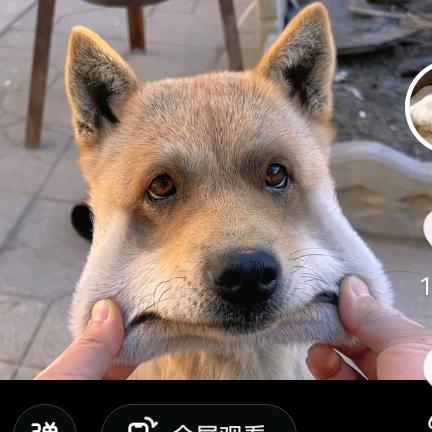 指间划过的那抹伤