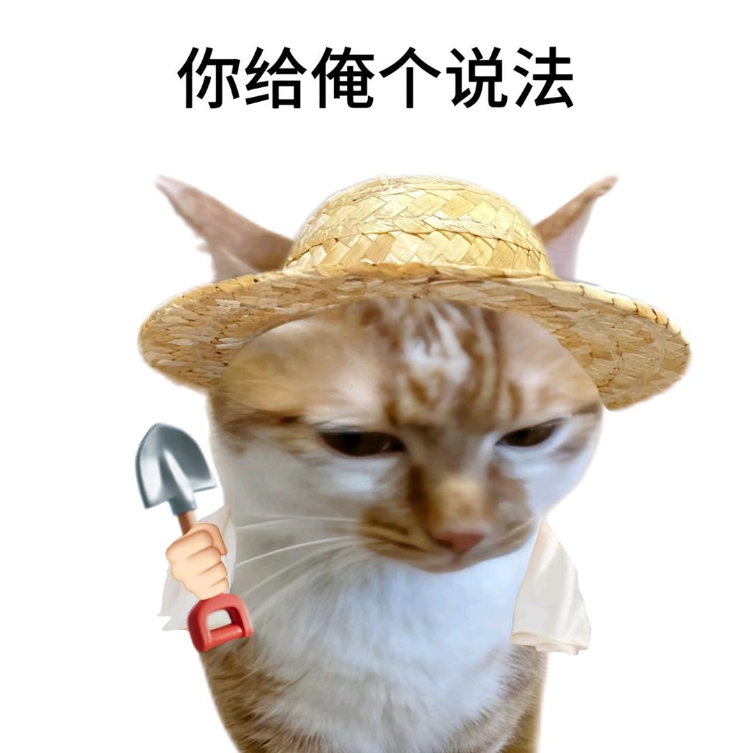 分享生活